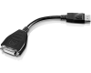 DisplayPort to Single-Link DVI-D Monitor Adapter