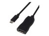 Visiontek USB 3.1 Type C to DisplayPort Adapter (M/F)