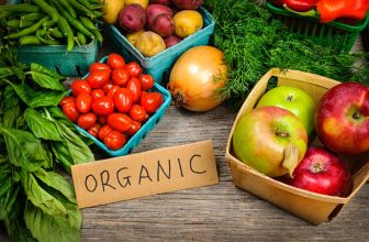 Going Green The Rise of Natural and Organic Products in the USA
