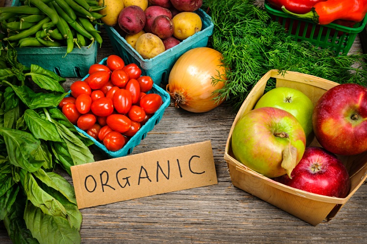 Going Green The Rise of Natural and Organic Products in the USA