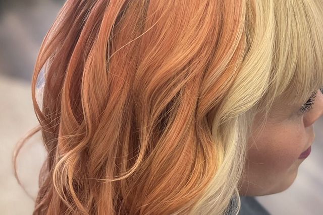 Mane Attraction A Guide to Hair Care