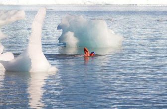 Ice Swimming: What Is It and Who Can Do It?