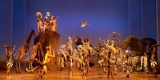 Broadway Shows The Pinnacle of Theatrical Excellence