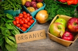 Going Green The Rise of Natural and Organic Products in the USA