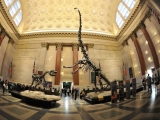 Museums