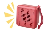 The Thriving Speaker Market