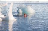 Ice Swimming: What Is It and Who Can Do It?
